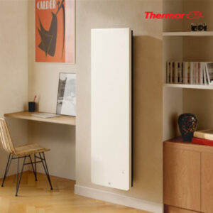 Thermor Equateur 5 Vertical 1000W